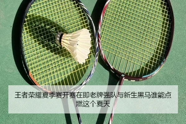 王者荣耀夏季赛开赛在即老牌强队与新生黑马谁能点燃这个夏天